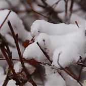 Владивосток получил снежный сюрприз к 8 марта (ФОТО)