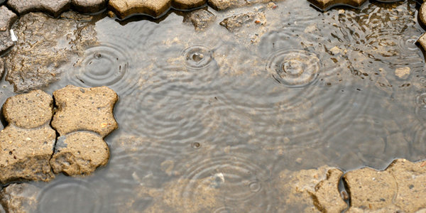 Завтра в Приморье будет дождливо