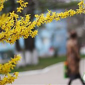 Весеннее настроение Владивостока (ФОТО)