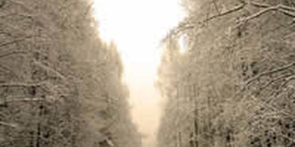 В Приморье вернулась зима и холодный ветер