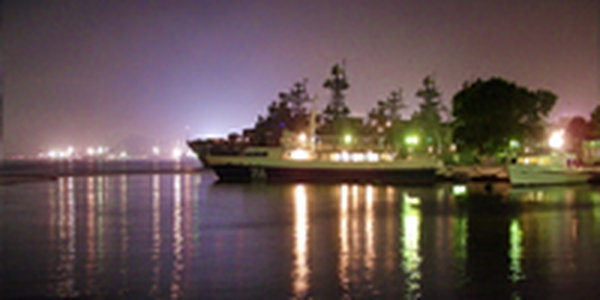 Росприроднадзор: скоро бухта Золотой Рог станет мертвой