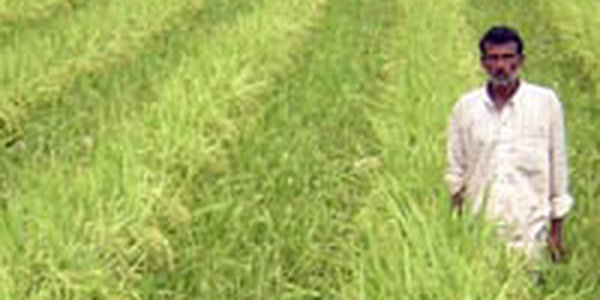 В России сняли запрет на ввоз индийских продуктов