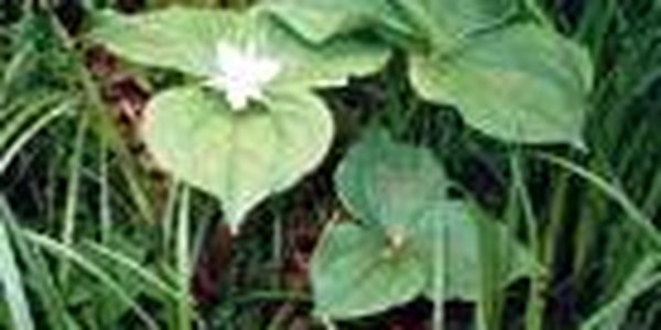 Каким был май 2008 года в Приморье?