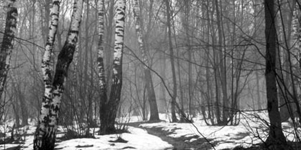 Каким был март 2008 года в Приморье?