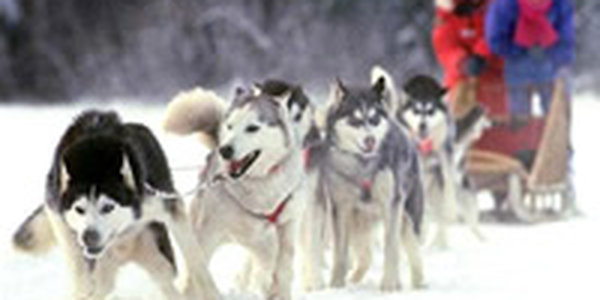 В районе Камчатки за сутки произошло три землетрясения 