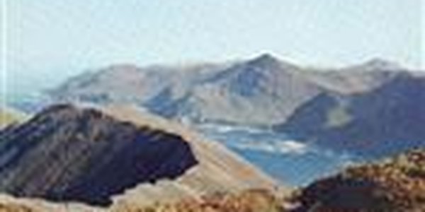 На Командорских островах выходные отличились землетрясением