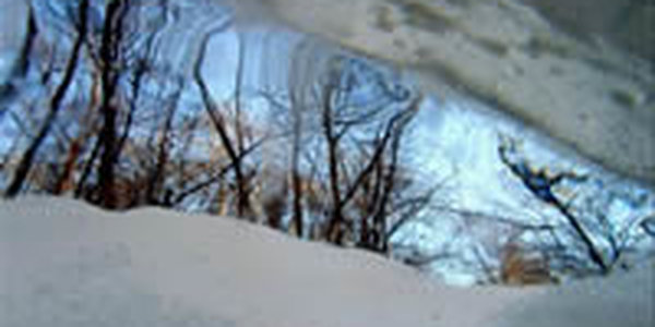 Вторая декада декабря в Приморье  оказалась экстремально теплой