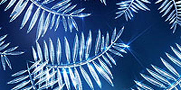 Воскресный ледовый бал во Владивостоке