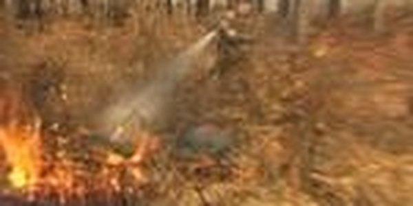 В Читинской области горит лес