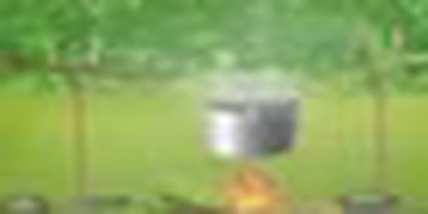 Апрель в Приморье опасен лесными пожарами