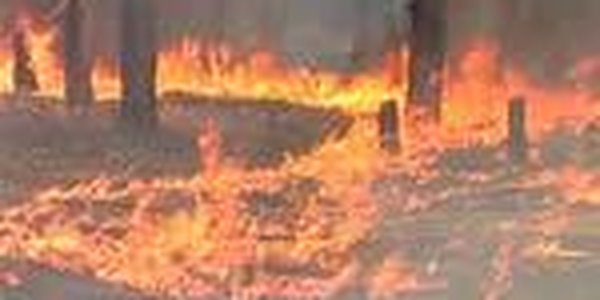 Горит лес в Приамурье и Хабаровском крае