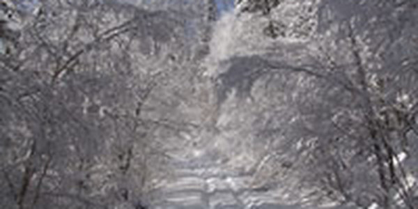 Зима наступает на Приморье