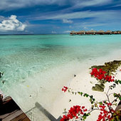 Мальдивы: Мекка для дайверов и рай для новобрачных