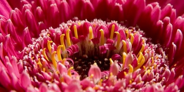 Март в Приморье выдался рекордно теплым. Такого не наблюдалось с 1907 года!