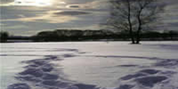 Минувший день был самым теплым за весь зимний период этого года