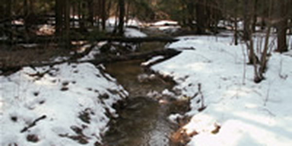 Весна идет, Весне дорогу!