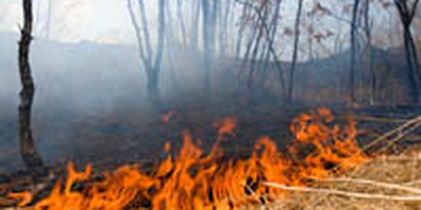 Лесопожарный период на Дальнем Востоке продолжается