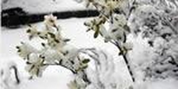 Сейчас в Приморье идет снег. Вечером и Владивосток будет во власти стихии