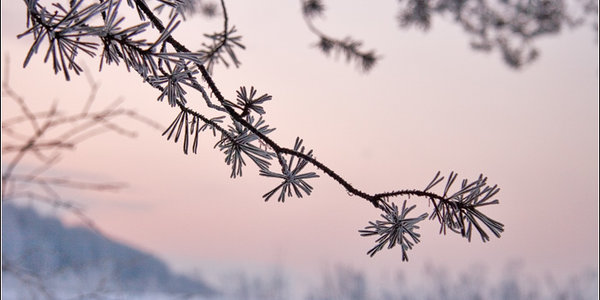 На праздники в Приморье преобладала морозная погода