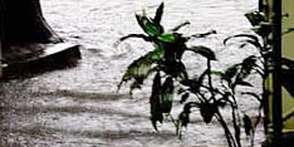 В Германии проливные дожди вызвали наводнение