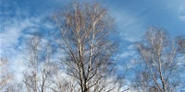 В Приморье установилась теплая погода