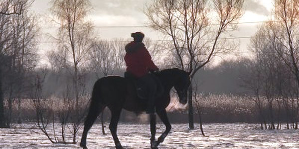 В выходные дни  в Приморье потеплеет, особенно комфортно будет в воскресенье