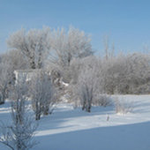 Снежные рисунки - природные чудеса из Халкидона (ФОТО)
