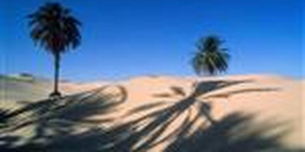 Подмоченный «бархатный» сезон в Тунисе