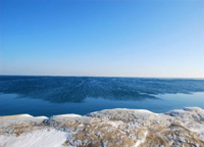 Состояние Охотского моря беспокоит экологов