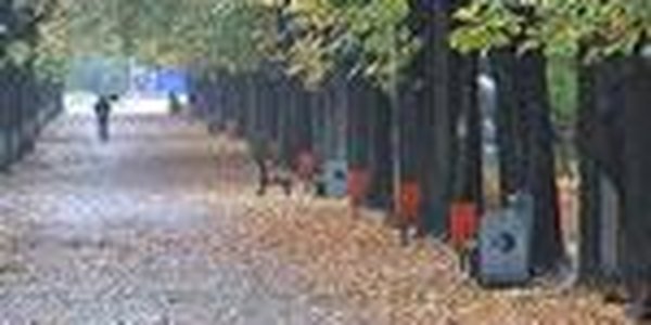 Из-за холодного фронта в Приморье похолодало