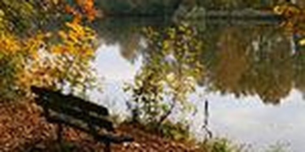 Осень вступила в свои права в Приморье