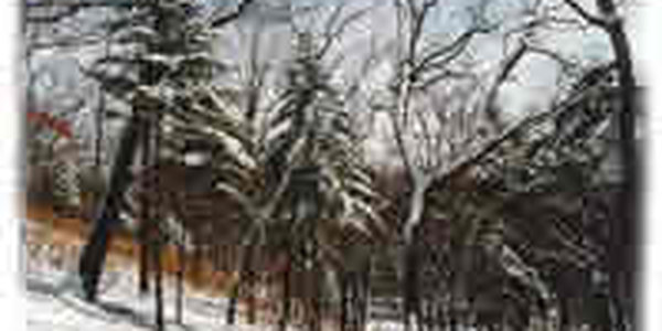 Выходные дни в Приморье выдались теплыми, но уже сегодня похолодает