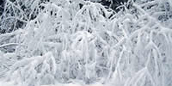 В Грецию пожаловала русская зима с обильным снегом