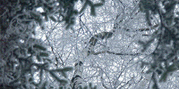 В конце недели в Приморье будет морозно