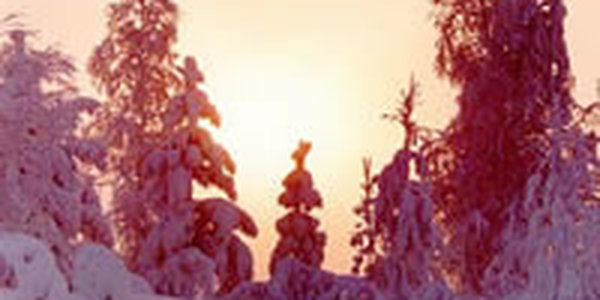 Где на Руси трещат морозы