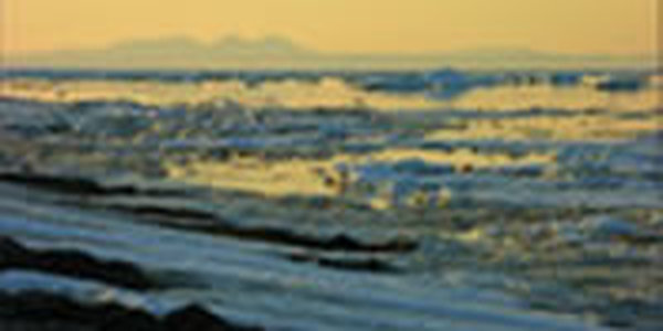 Самое ледовитое нынче Каспийское море