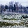 Снег чуть не погубил поля в Приморье