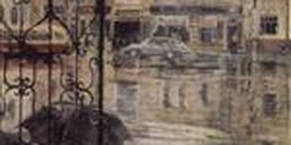 Румыния вся в дождях