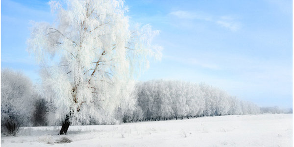 Рекордные метаморфозы российской зимы