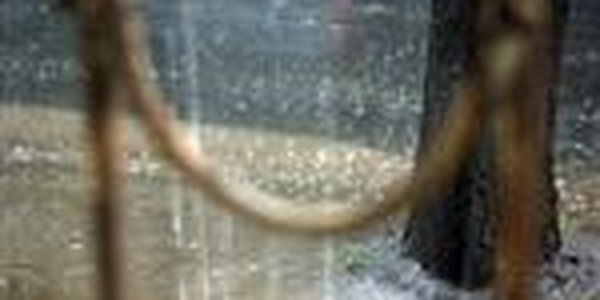 Дождь, прошедший в Тунисе, унес жизнь восьми человек