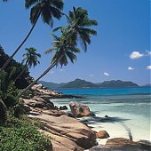 Сейшельские острова - это место, где родилось слово 