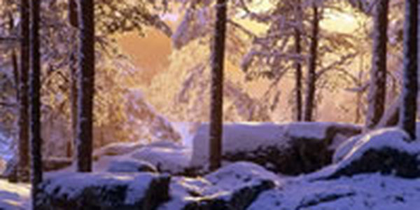 Во Владивостоке в воскресенье выпала декадная норма осадков