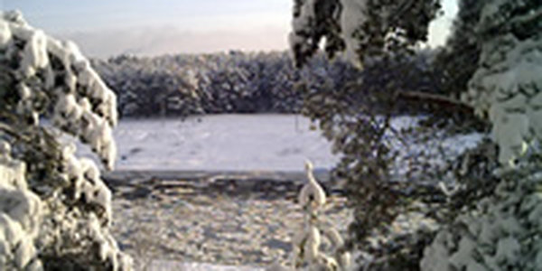 Январь в Приморье выдался экстремально сухим