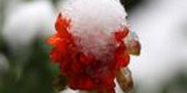 Теплая осень вернулась в Приморье