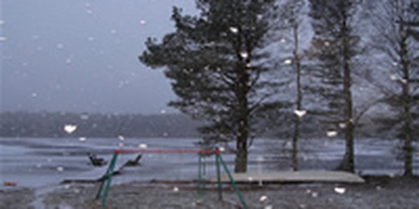 Приморье ожидает прохладная со свежим ветром погода