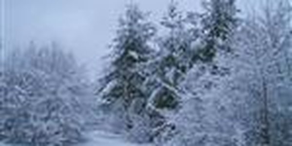 Зима неизбежна: морозы крепчают, формируется устойчивый снежный покров