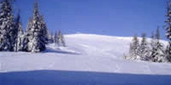 Подготовка к Новому году чуть не стоила жизни калифорнийцам