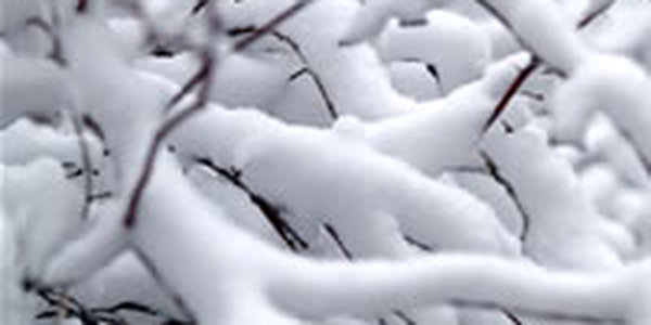 Штормовое предупреждение