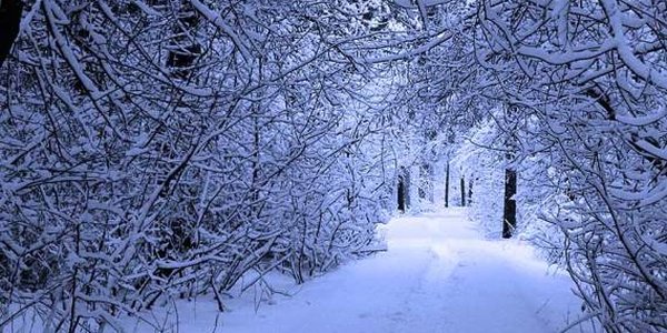 В выходные дни в Приморье потеплело