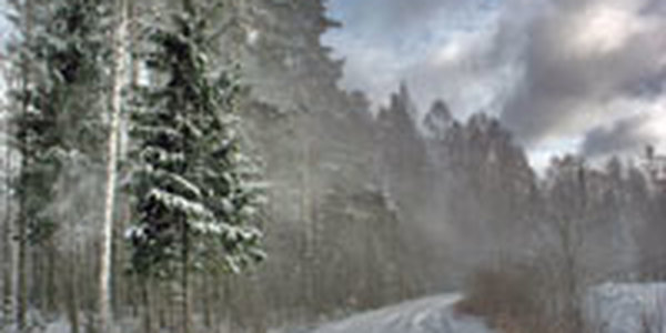 Погодные итоги выходных в Приморье